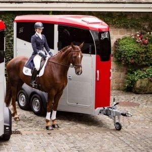 Ifor Williams Anhänger – Ansicht 1