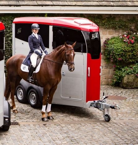 Ifor Williams Anhänger – Ansicht 1