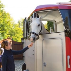 Ifor Williams Anhänger – Ansicht 1