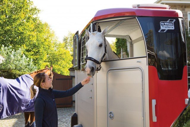 Ifor Williams Anhänger – Ansicht 1